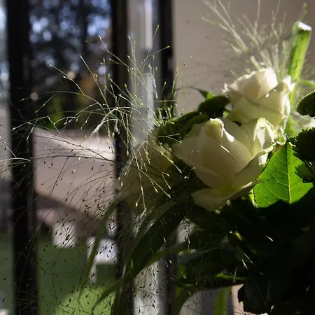 The Hamptons Boutique 4* Гент