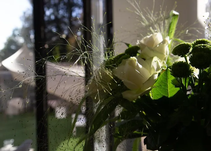 The Hamptons Boutique 4* Gante